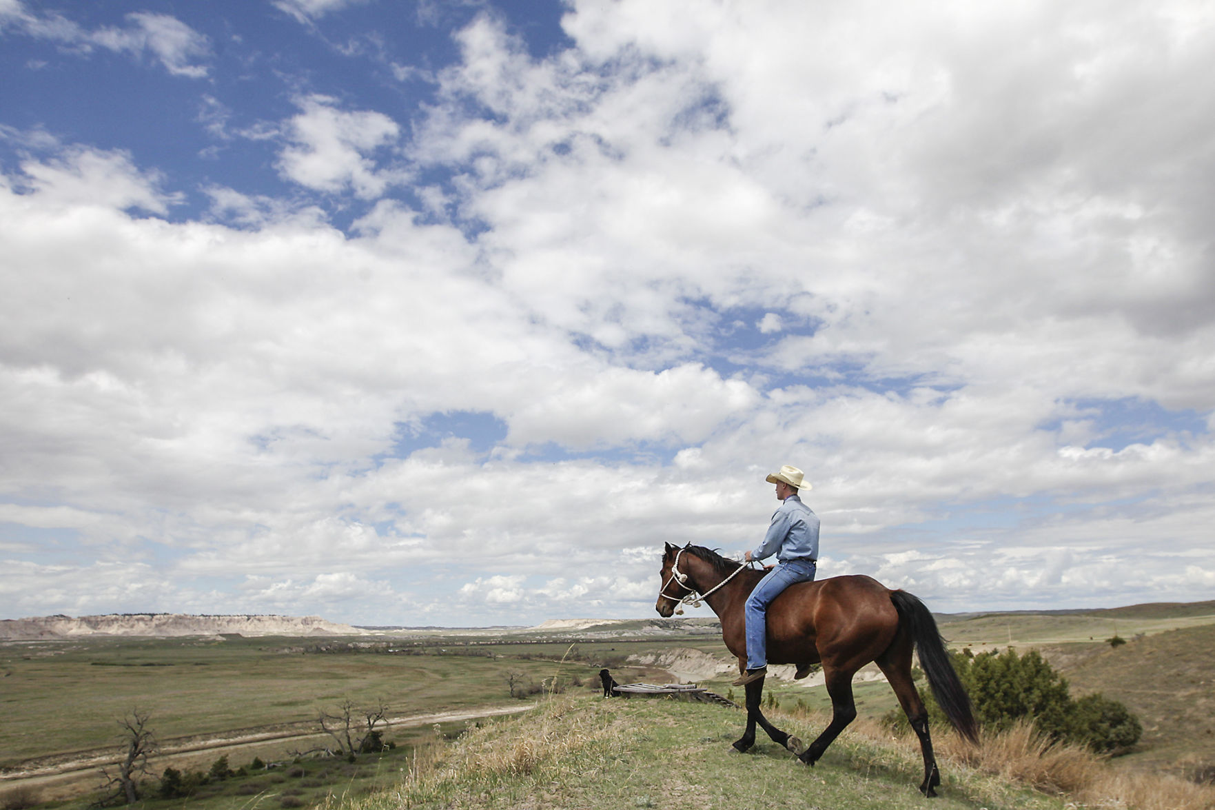 The Rider